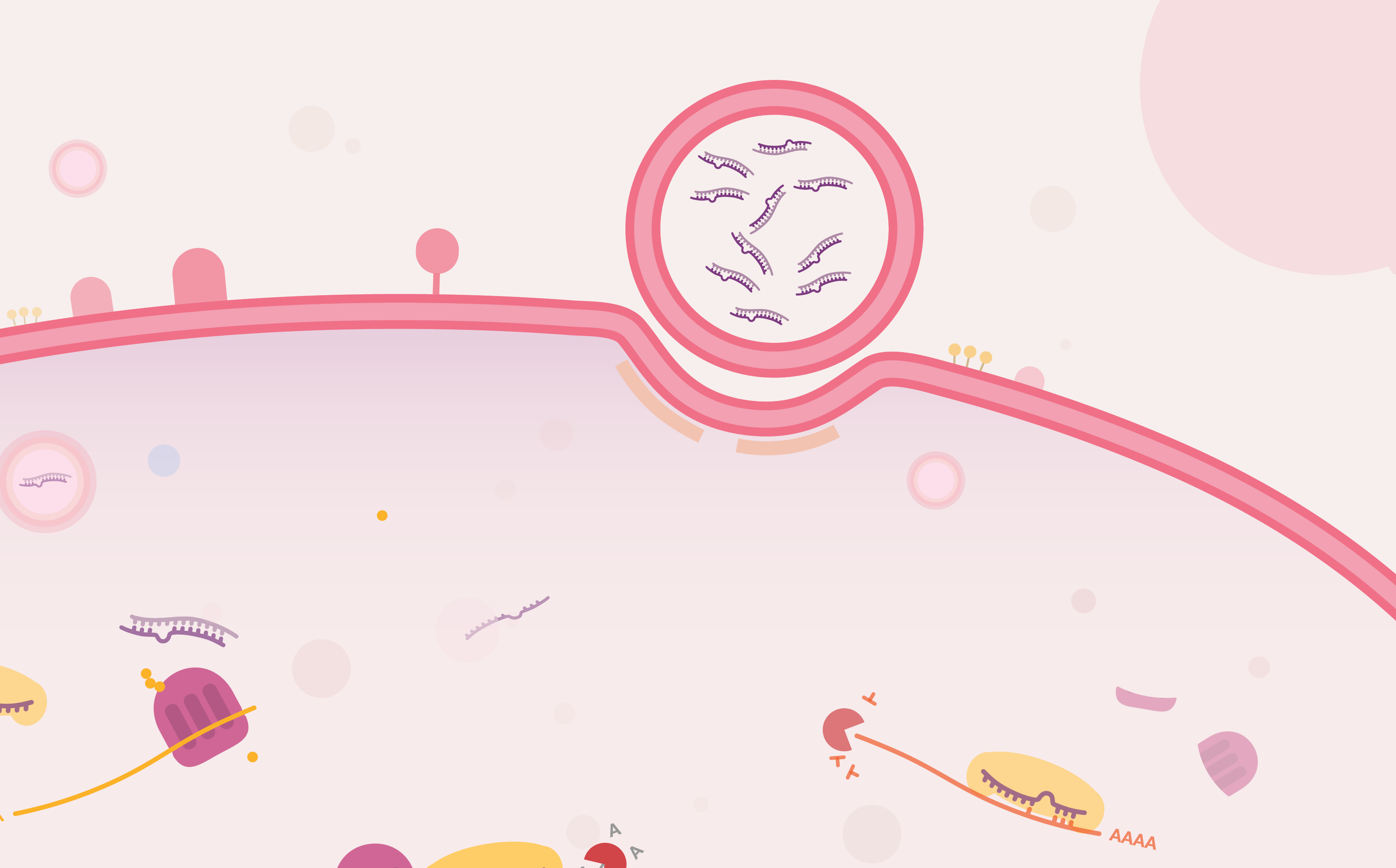 What is RNAi therapy?