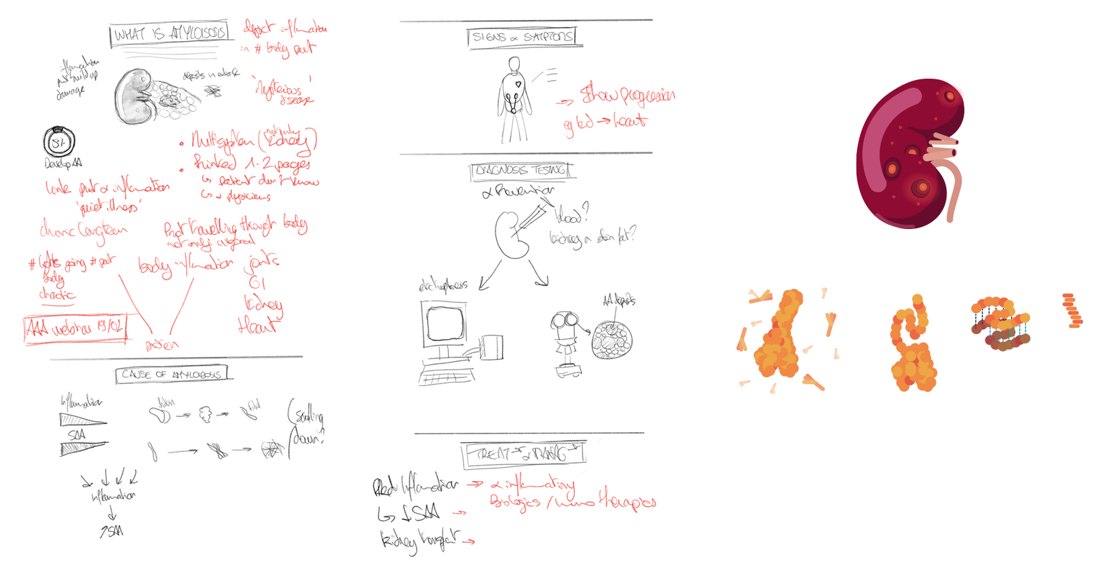 Intermediate version — visual language and illustration in progress